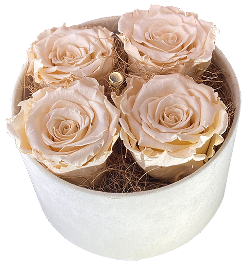 4 Rozen Champagne in zandkleurige hoedendoos