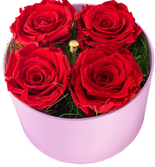 💖 Moederdag: 4 Rozen Rood in roze hoedendoos