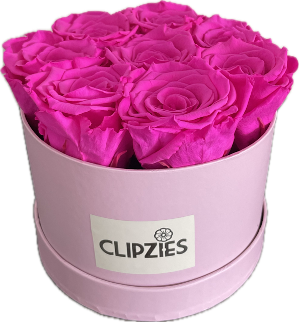 Flowerbox felroze rozen