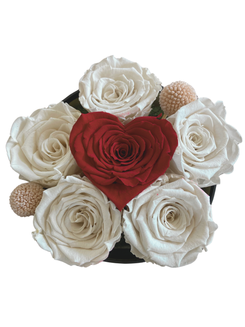 💖 Moederdag Bloementaartje: Rode Roos met 5 Witte Rozen & Trommelstokjes (echte bloemen - longlife 12+ maanden)