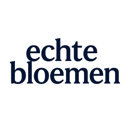 π Moederdag Bloementaartje: 4 kleine zonnebloemen en 6 gele miniroosjes (echte bloemen - longlife 12+ maanden mooi)