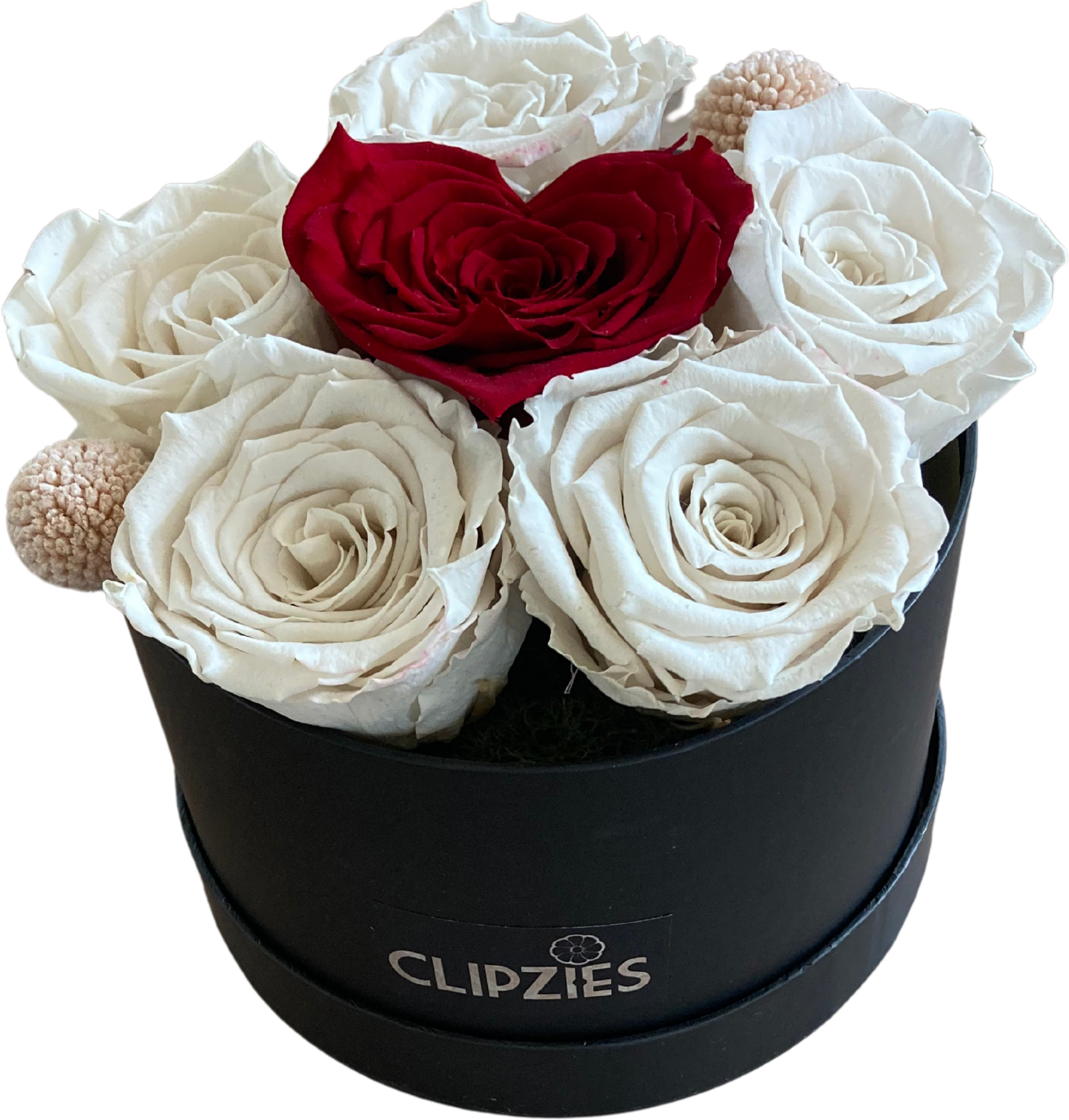 💖 Moederdag Bloementaartje: Rode Roos met 5 Witte Rozen & Trommelstokjes (echte bloemen - longlife 12+ maanden)