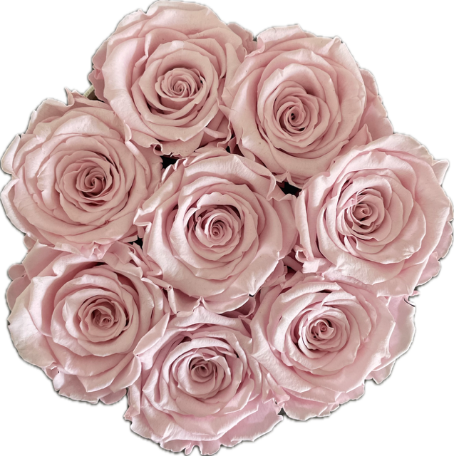 Flowerbox lichtroze rozen