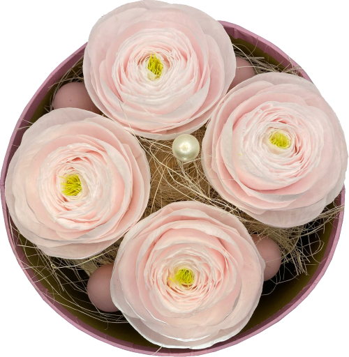 4 roze Bloom pops - ranonkels in roze hoedendoos