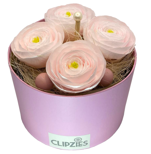 4 roze Bloom pops - ranonkels in roze hoedendoos