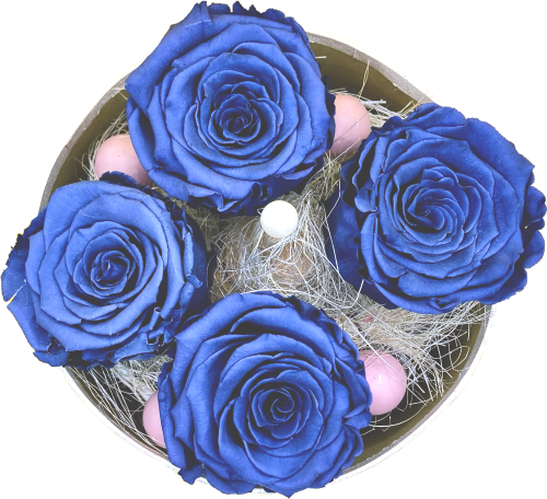 4 Rozen blauw in zandkleurige hoedendoos