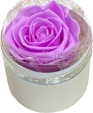 Lila Roos (60 mm) - geconserveerde bloem