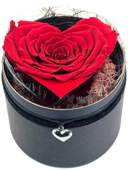 💖 Moederdag: Roos Rood Hartvormig (60 mm) zilverkleurige hanger - geconserveerde bloem