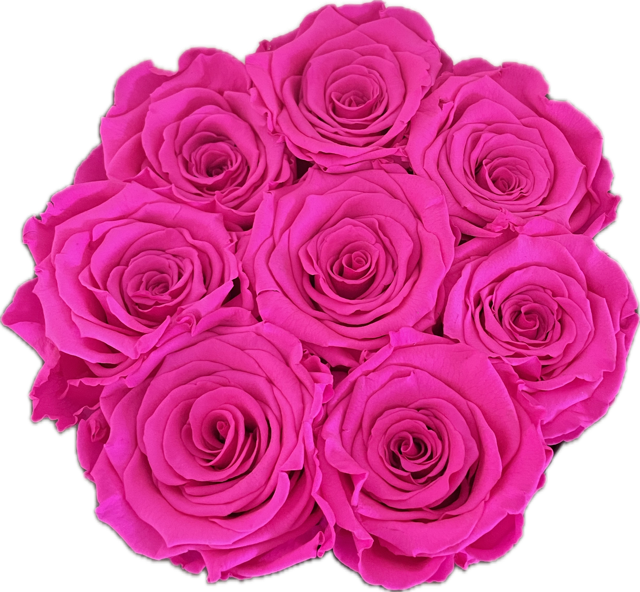 Flowerbox felroze rozen