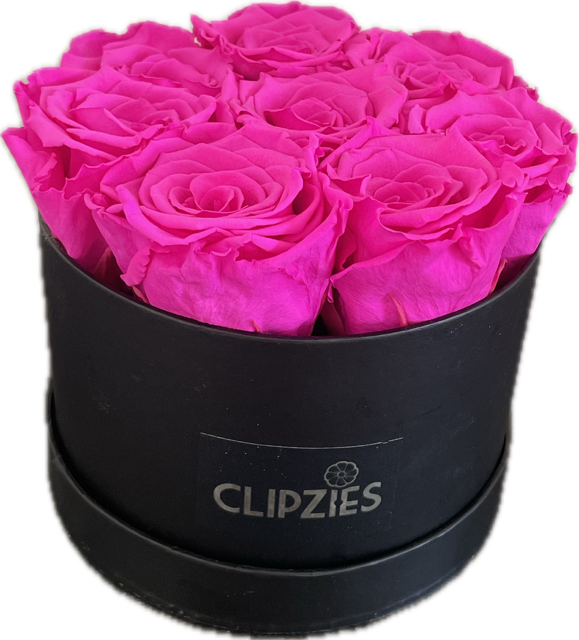 Flowerbox felroze rozen
