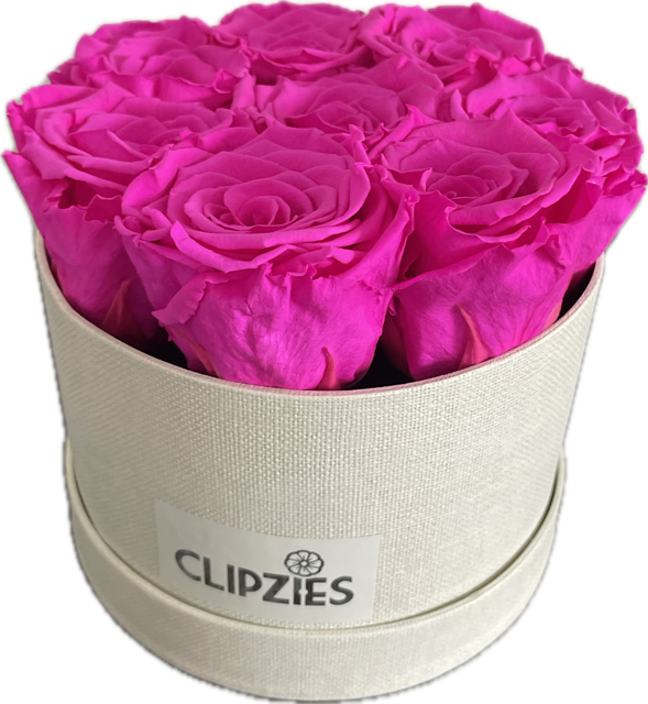 Flowerbox felroze rozen