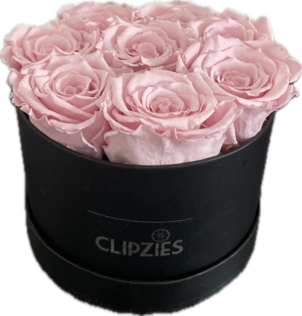 Flowerbox lichtroze rozen