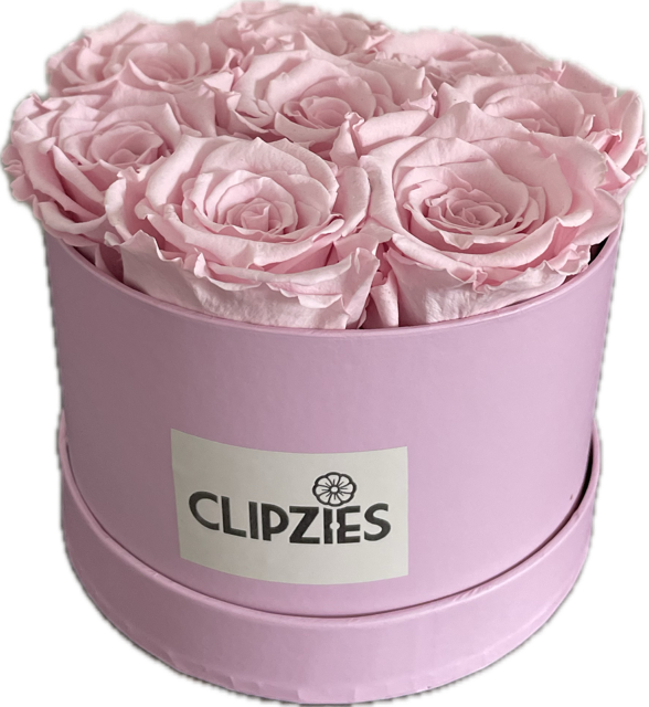 Flowerbox lichtroze rozen