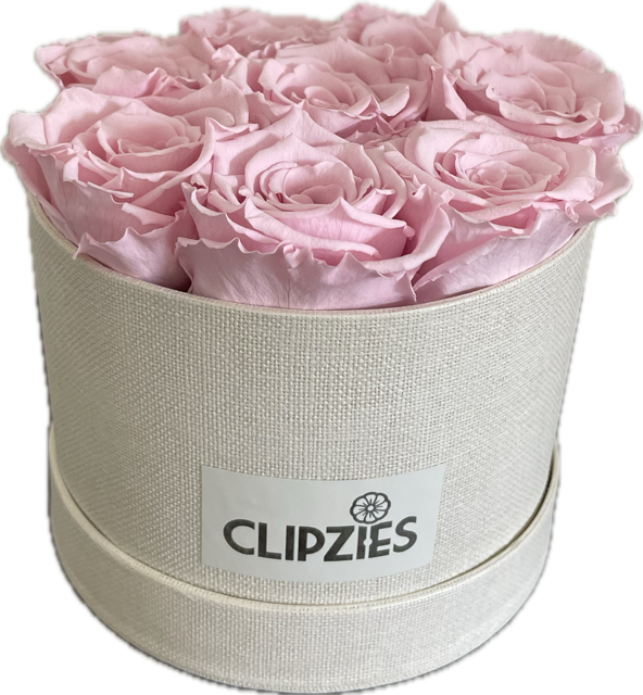 Flowerbox Lichtroze rozen