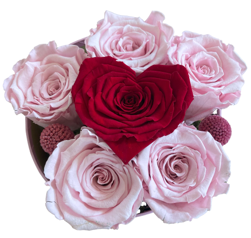 💖 Moederdag Bloementaartje: Hartvormige roos  met 5 Roze Rozen in Roze Hoedendoos (longlife 12+ maanden)